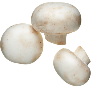 white mushroom.png white mushroom.png