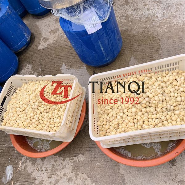 Nấm nút ngon ngâm nước muối trong trống